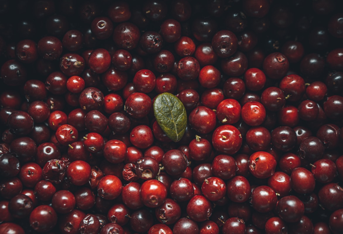 Mango a papája - tropické ovoce s enzymy